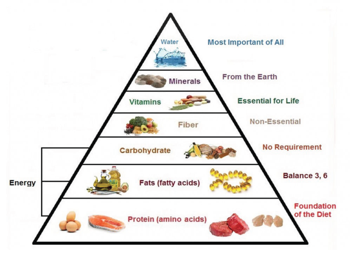 Screenshot 2025-01-30 at 2.05.06 PM